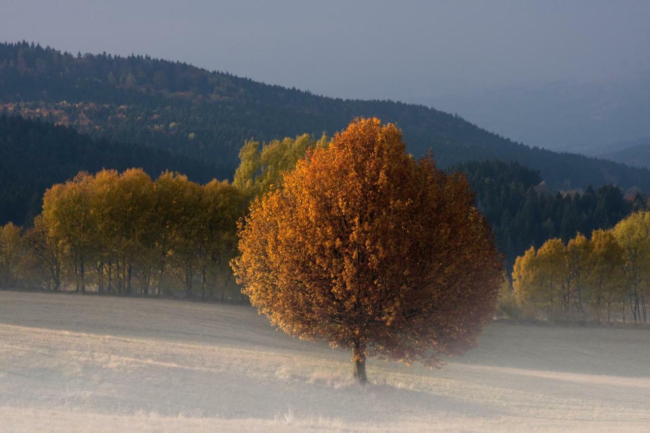 Apartmán U Martinov Poniky Exteriér fotografie